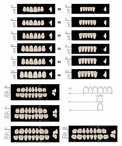 IndepenDent akril műfogak A2
