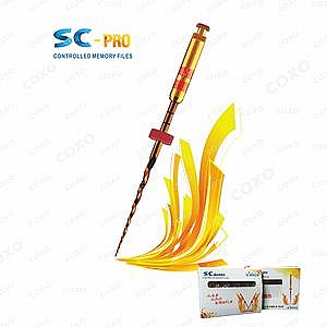 COXO SC-PRO NiTi Gyökérkezelő tű (gépi)